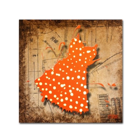 Trademark Fine Art Roderick Stevens 'White on Orange' Canvas Art, 35x35 RS927-C3535GG